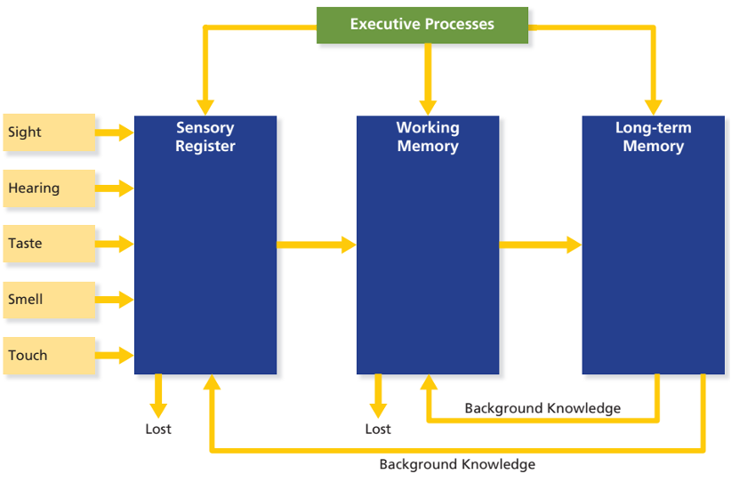InfoProcessingModel